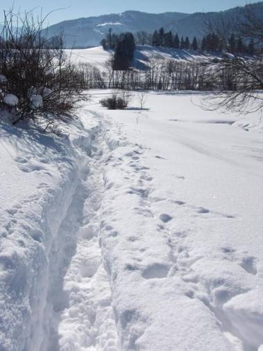 Gästehaus Schmid & Reitzner