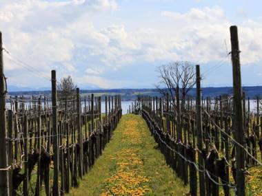 Ferienwohnung Zierapfel