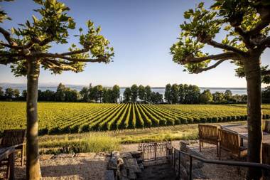 Kirchberg - Appartement zum Park