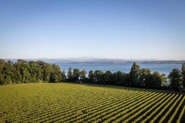 Kirchberg - Appartement Rose