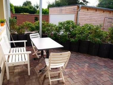 Austernfischer in Husum