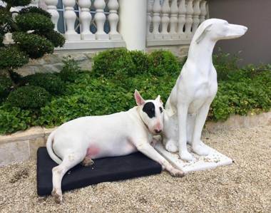 Wilsmann Apartmentvermietung