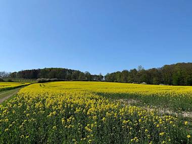 Gästehaus am Kurpark