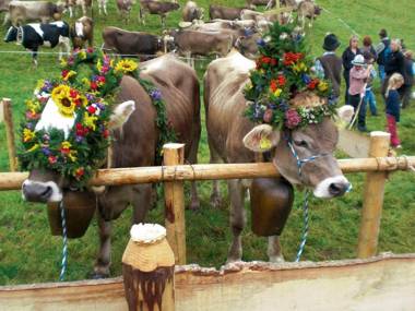 Ferienwohnung Schlossberg