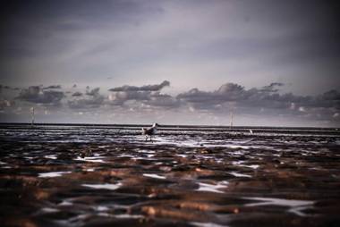 Ferienhaus Käptn Blaubär