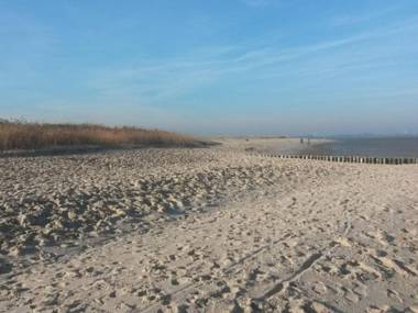 Ferienhaus Albatros Nr. 1