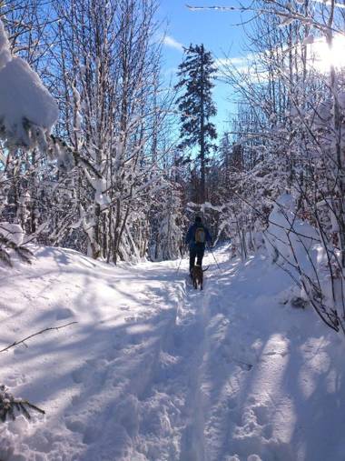 Schwarzwald-Chalet Feldberg