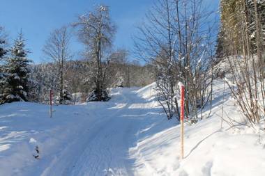 Berghaus Feldberg "Titiseeblick" in Bärental