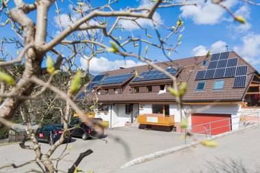 Kuckucksnester Menzenschwand (Vorderdorf)