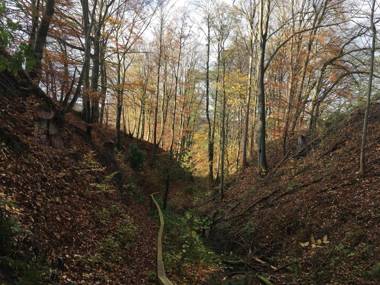 Ferienwohnung Franziska