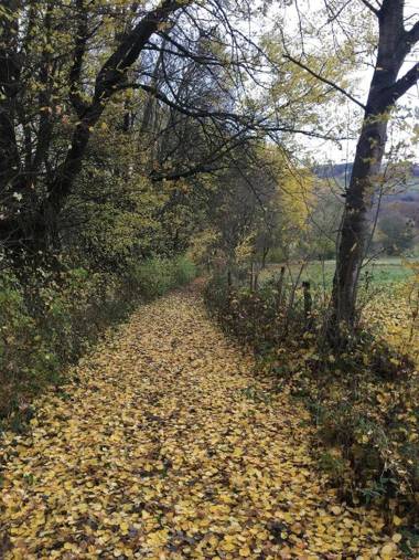 Ferienwohnung Franziska