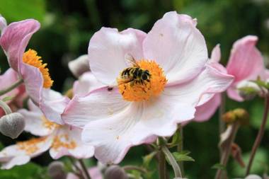 Haus Müller Adelheid