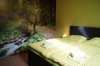 Ferienwohnung - Waldwasser mit Waldblick