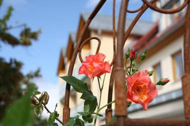 Landhotel-Gasthof Grüner Baum