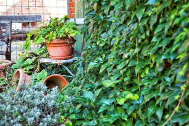 Ferienwohnungen Manfred Peters Baven