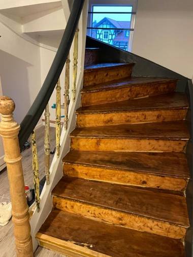 Ferienwohnungen Lausbuben & Zicken - im grünen Herzen Deutschlands