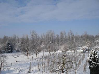 Ferienwohnungen - Gästehaus Gertrud Moog-