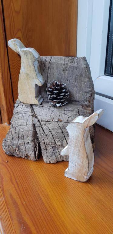 Urlaubspension 'Hohes Rott' und Apartmenthaus