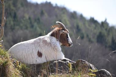 Naturfreundehaus Veilbronn