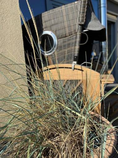 Ostsee - Reetdachhaus Nr 42 "Waterkant" im Strand Resort