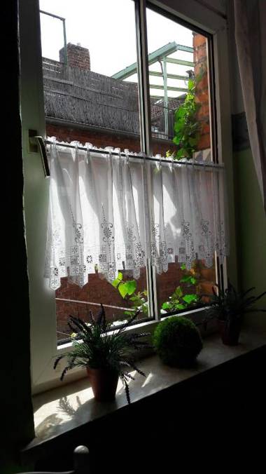 Ferienwohnung auf der Stadtinsel