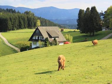 Café Pfaus Heidburg