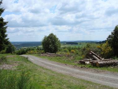 Cozy Apartment in Hallenberg with Terrace