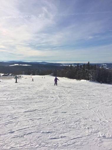 Bauernhofpension Runenhof