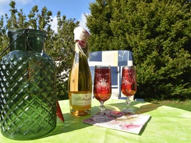 Holiday Home in Güntersberge with Garden Terrace & BBQ