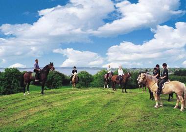 Ponyhof Naeve am Wittensee