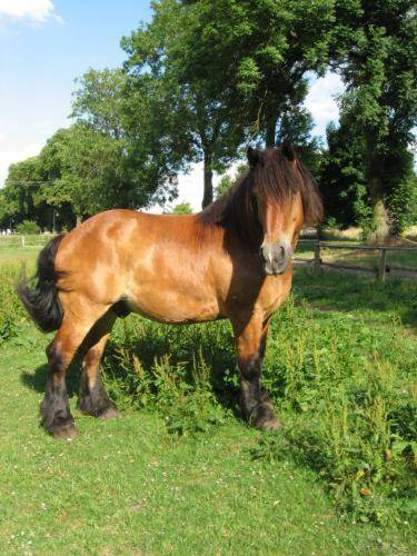 Eichenhof Hotel Garni