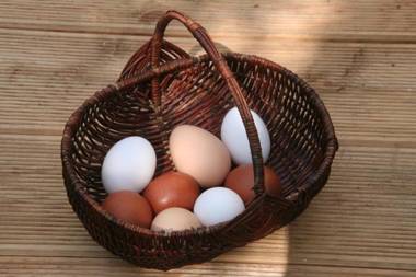 Pension Müllers Mühle