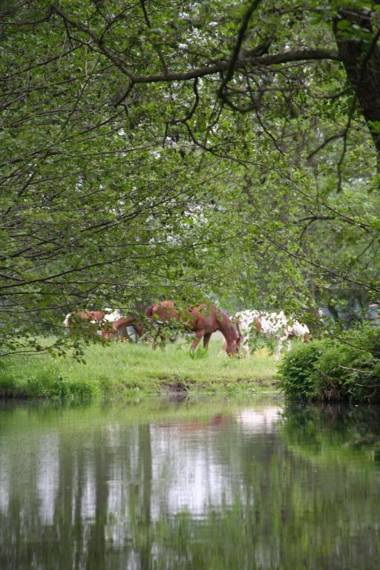 Pension Müllers Mühle