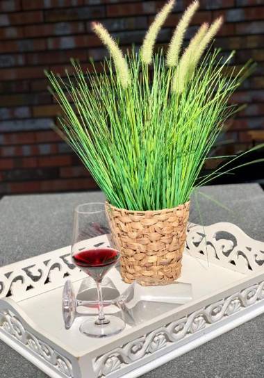 Ferienwohnung Möwennest N°3