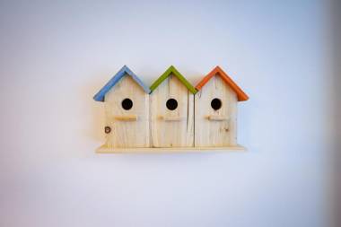 Studio 42 "Vogelfrei"