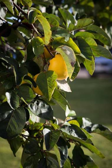 Appartementhaus Solaris Solaris Ferienhaus