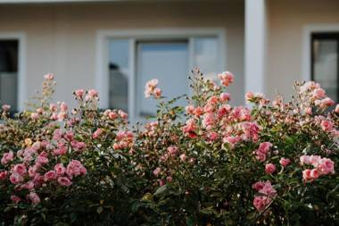 Appartementhaus Solaris Solaris Wohnung 16