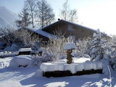 Bosch Hermann junior