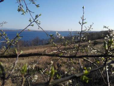 Altstadt Pension Zaremba