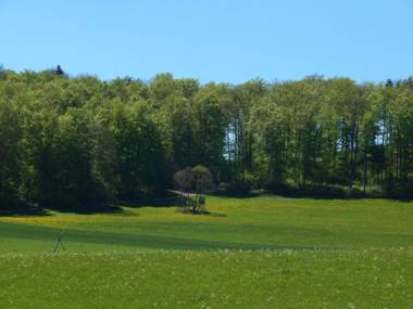 Speidel´s BrauManufaktur