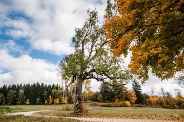 Restaurant & Landhotel Winter