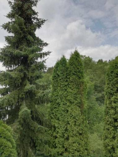 Ferienwohnung Hustley