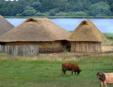 Ferienwohnung Schauf
