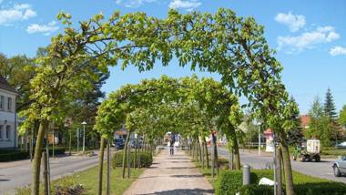 Ferienwohnung-Adlerhorst
