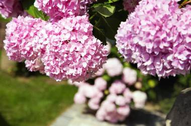 Mühlbach Thermal Spa & Romantik Hotel