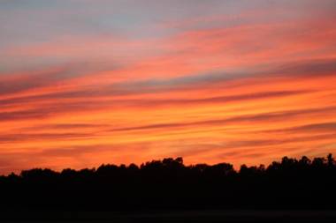 Das Naturidyll - Der Wieserhof