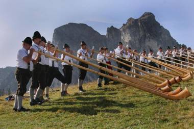 Dreimäderlhaus - Das vegetarische Boutique Hotel
