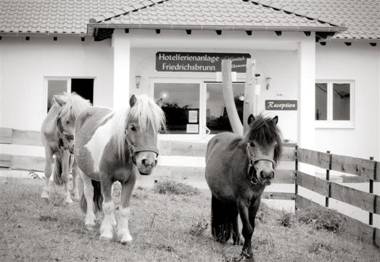 Hotelferienanlage Friedrichsbrunn