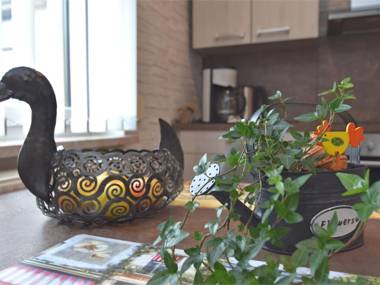 Modern Apartment in Ernstroda Thuringia near Ski area