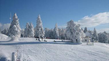 Ferienwohnung Schäfer im Landhaus Almberg App. 11